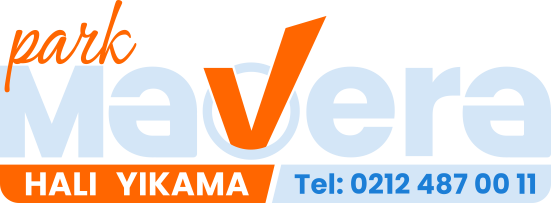 Logo Light